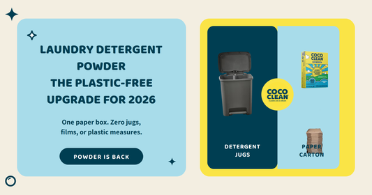 Detergent Powder the Plastic-Free Upgrade